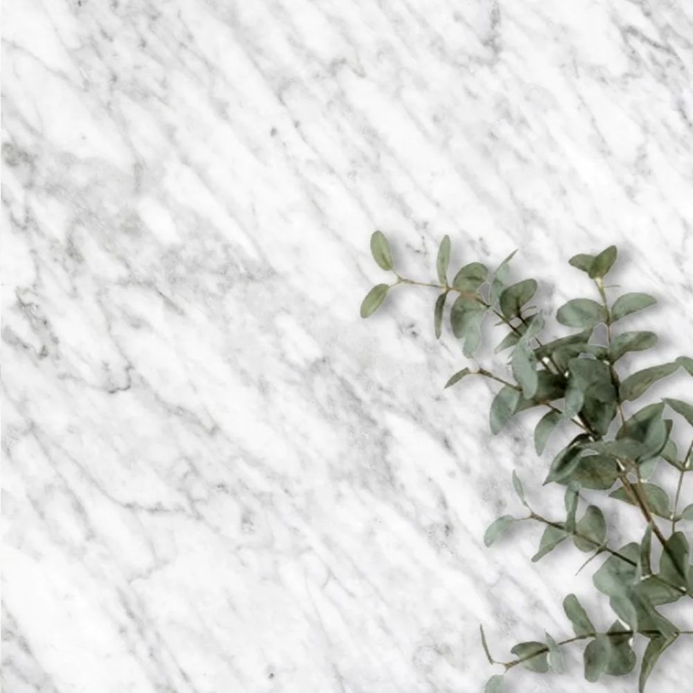 5e237a56 8f28 4078 8cb0 0a8478565f12.jpg