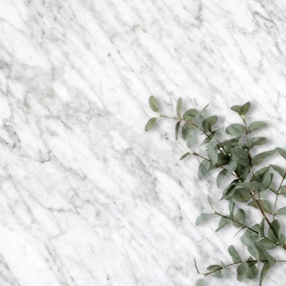 cc4e3e6c c1d4 4f65 b3ad 00943f83fb13.jpg